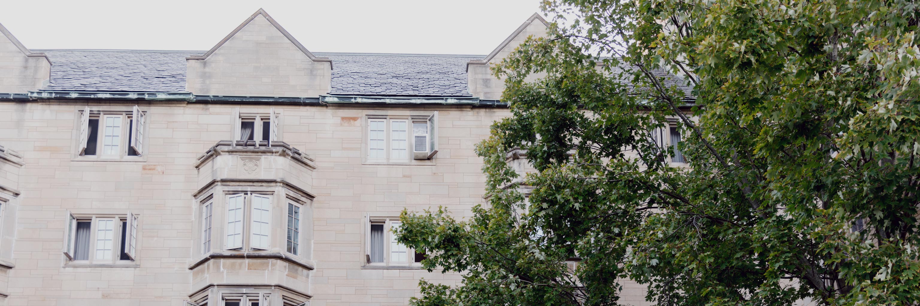 A large limestone building with several open windows, partially obstructed by the foliage of a tree 