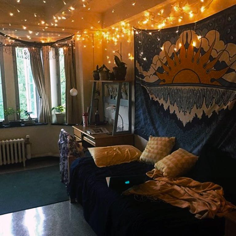 Interior of a dorm room decorated with lights, plants, and a wall tapestry